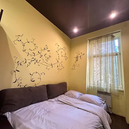 на вулиці наливайка 7 в центрі біля оперного театру після ремонту Lwów