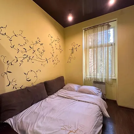 на вулиці наливайка 7 в центрі біля оперного театру після ремонту Апартаменти *