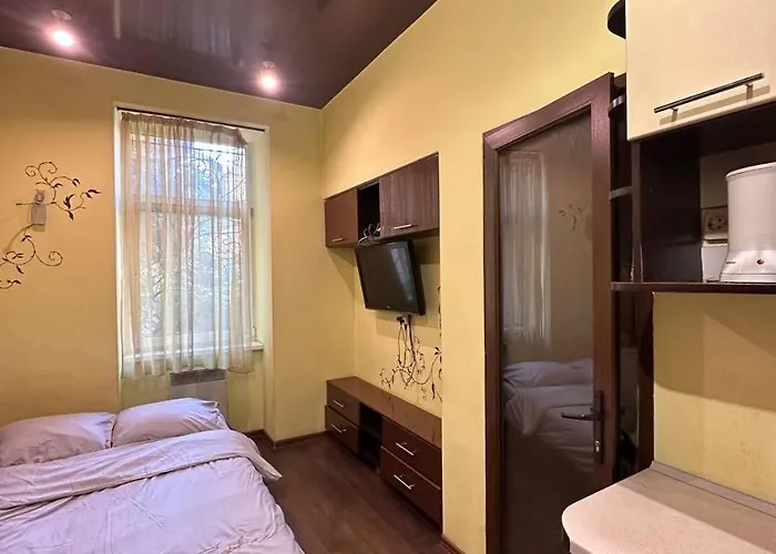 на вулиці наливайка 7 в центрі біля оперного театру після ремонту Appartement