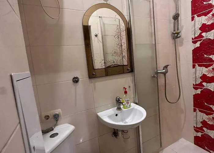 на вулиці наливайка 7 в центрі біля оперного театру після ремонту Apartamento *