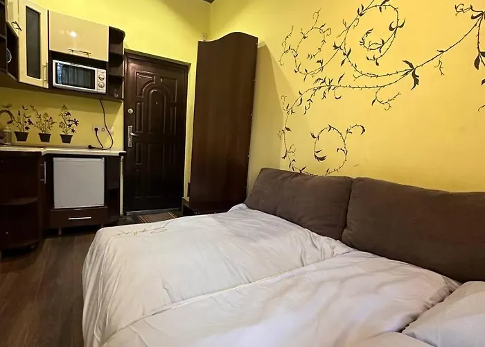 на вулиці наливайка 7 в центрі біля оперного театру після ремонту Appartement Lviv