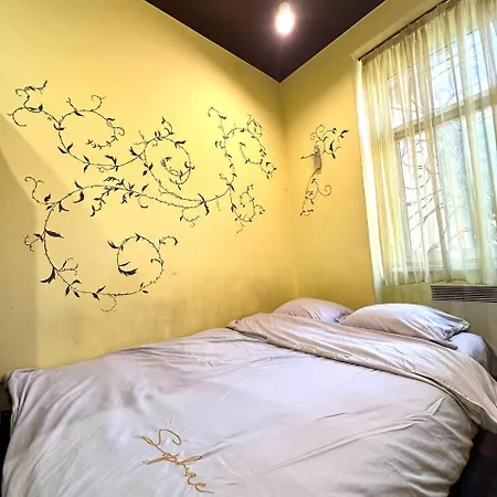 на вулиці наливайка 7 в центрі біля оперного театру після ремонту Daire